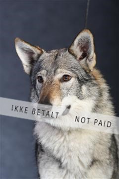 132082_le_ 01_IMG_0982.JPG