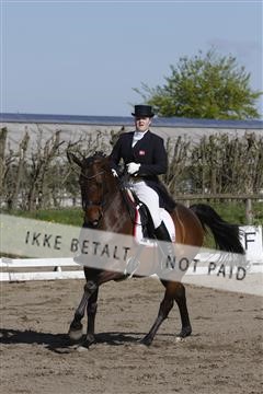124470_sc_01_IMG_0355.JPG
