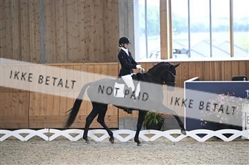 182176_kbb_01_Z093348.JPG