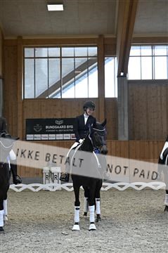 182176_kbb_01_Z093632.JPG