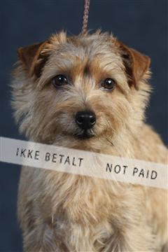 132082_le_ 01_IMG_0540.JPG