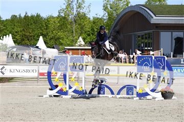 181436_avh_02_3715.JPG
