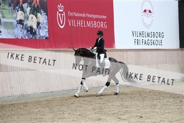 181887_mtp_04_R62_9022.JPG