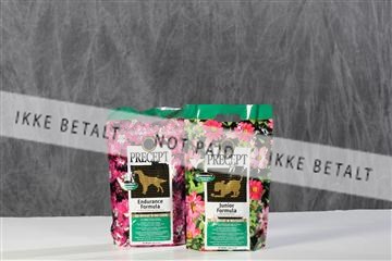 128239_le_kort_ 01_0180.JPG