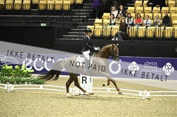 182194_kbb_01_Z096636.JPG