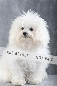 129608_le_ 01_0050.JPG