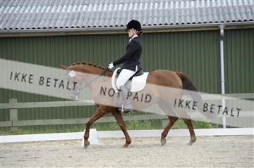 139898_ms_01__MS27569.JPG
