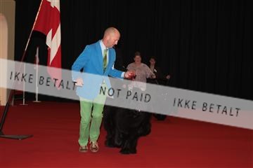 126827_tl_02_IMG_2799.JPG