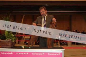 124188 _tl_02_IMG_9643.JPG