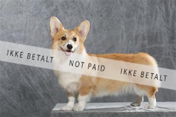 130054_le_ 01_0304.JPG