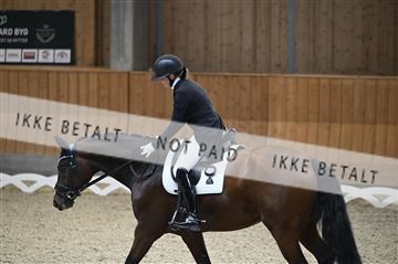 182176_kbb_01_Z093871.JPG