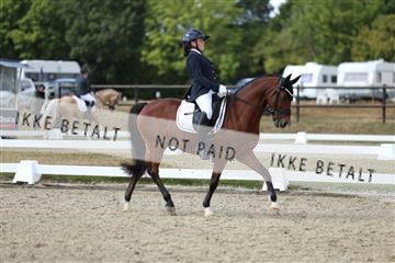 181894_mtp_05_R62_4738.JPG