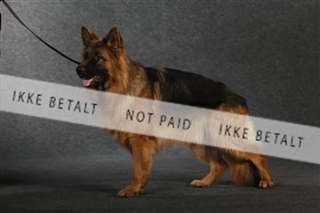 132082_le_ 01_IMG_0741.JPG