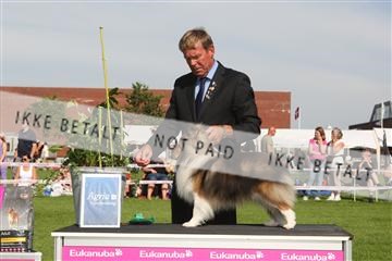 130370_se_02_IMG_6552.JPG