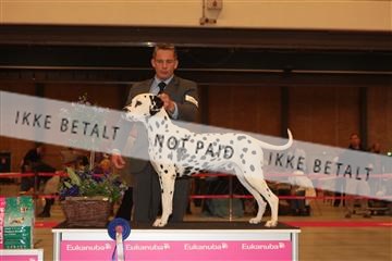 124188 _tl_02_IMG_9638.JPG