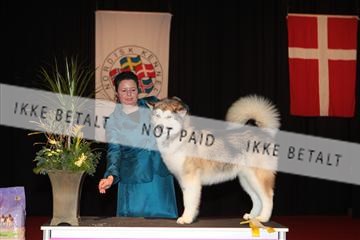 126827_tl_02_IMG_2833.JPG