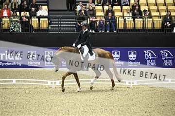 182194_kbb_02_Z098992.JPG