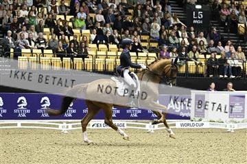 182194_kbb_03_Z091615.JPG