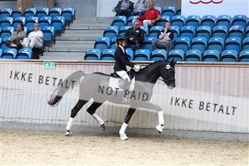 181887_mtp_04_R62_9176.JPG