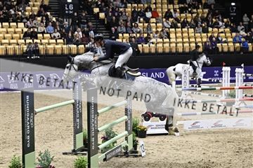 182194_kbb_02_Z099631.JPG