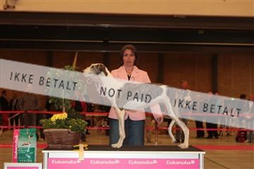 124188 _tl_02_IMG_9673.JPG