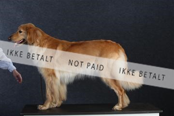 132082_le_ 01_IMG_0668.JPG