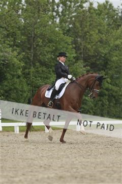 139835_sg_02_IMG_8958.JPG