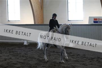 139267_kl_1_8M1Q6899.JPG