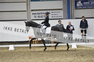140040_abo_02__AB19406.JPG