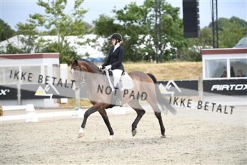 166078_kuo_02_D05_8816.JPG