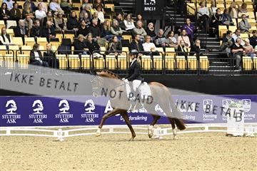 182194_kbb_03_Z090926.JPG