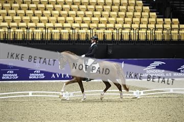 182194_kbb_01_Z095657.JPG