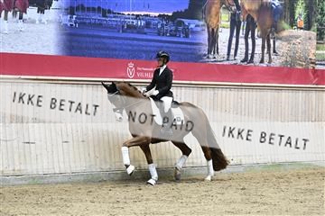 182241_kbb_01_Z094243.JPG