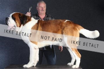 132082_le_ 01_IMG_0080.JPG