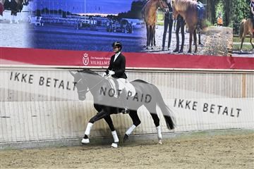 182241_kbb_01_Z094321.JPG