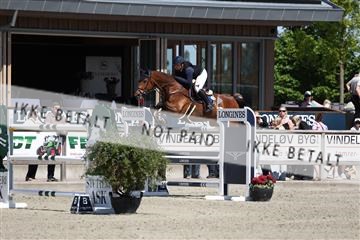 181436_avh_02_4059.JPG