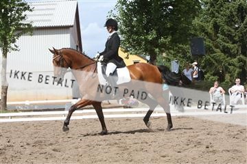 5925_ma_02_IMG_2259.JPG