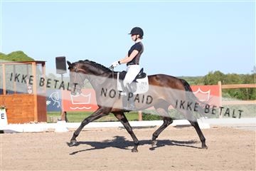 181449_bc_01R62_6297.JPG