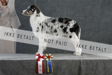 5493_sme _02__MG_9741.JPG