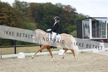 181894_mtp_04_R62_3753.JPG