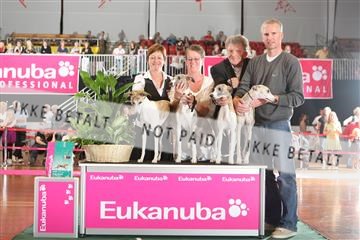 6068_ma_05_IMG_5551.JPG