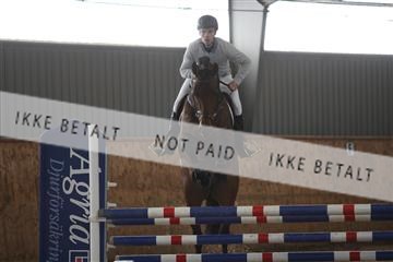 139206_kl_1_8M1Q5201.JPG