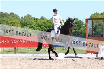 181449_bc_01R62_5747.JPG