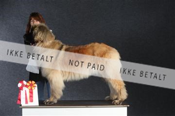 132082_le_ 01_IMG_1331.JPG