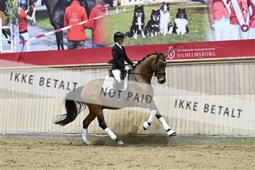 182241_kbb_01_Z093070.JPG