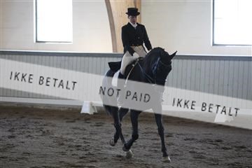139267_kl_1_8M1Q6813.JPG