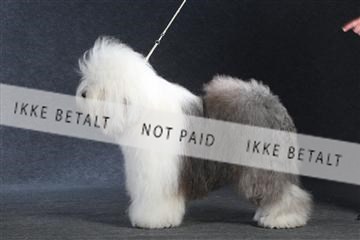 132082_le_ 01_IMG_1443.JPG