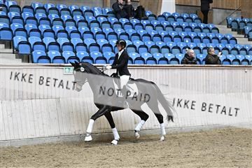 182241_kbb_01_Z094538.JPG