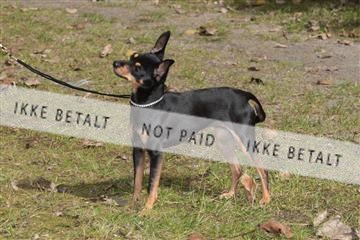 126168_tl_01_IMG_0037.JPG