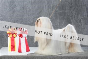 130054_le_ 01_0247.JPG